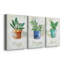 Pots Basil - ensemble de 3 toiles tendues-1055371472