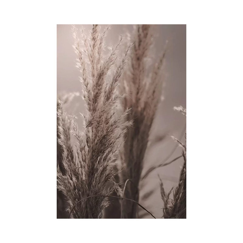 Pampas Reed VI by Monika Strigel - Wrapped Canvas Painting, 20.32 cm H x 30.48 cm W