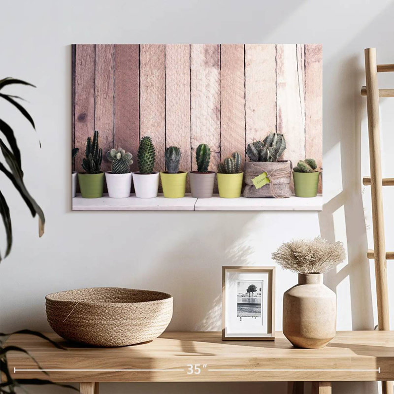 Plantes succulentes Harnek, H 16 po x l 24 po
