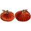 Velvet Pumpkin Decorative Accent-70723911