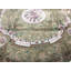 Wool Oriental Area Rug in Green