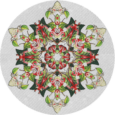 Indoor Rug