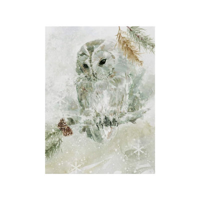 Art mural hibou hivernal non encadré 16 po x 20 po