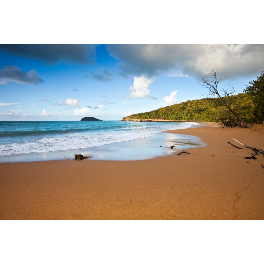 Goldener Sandstrand in Guadeloupe von Stevegeer - Kunstdrucke ohne Rahmen auf Leinwand