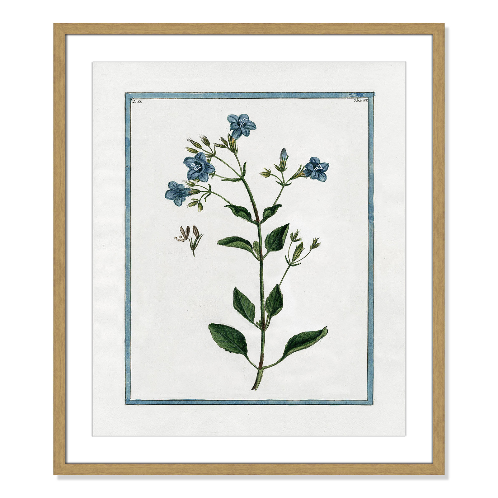 Colombe "Shabby Elegance Botanical II" Print, 21.5" W x 25.5" H, Natural Framed