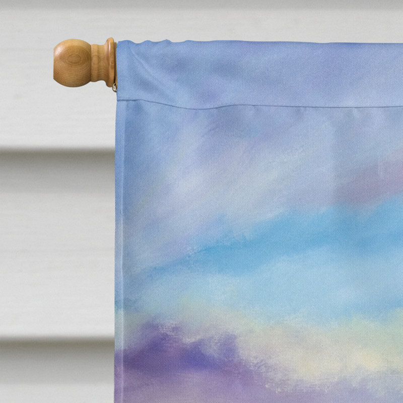 Double Sided 40'' H x 28'' W Polyester House Flag