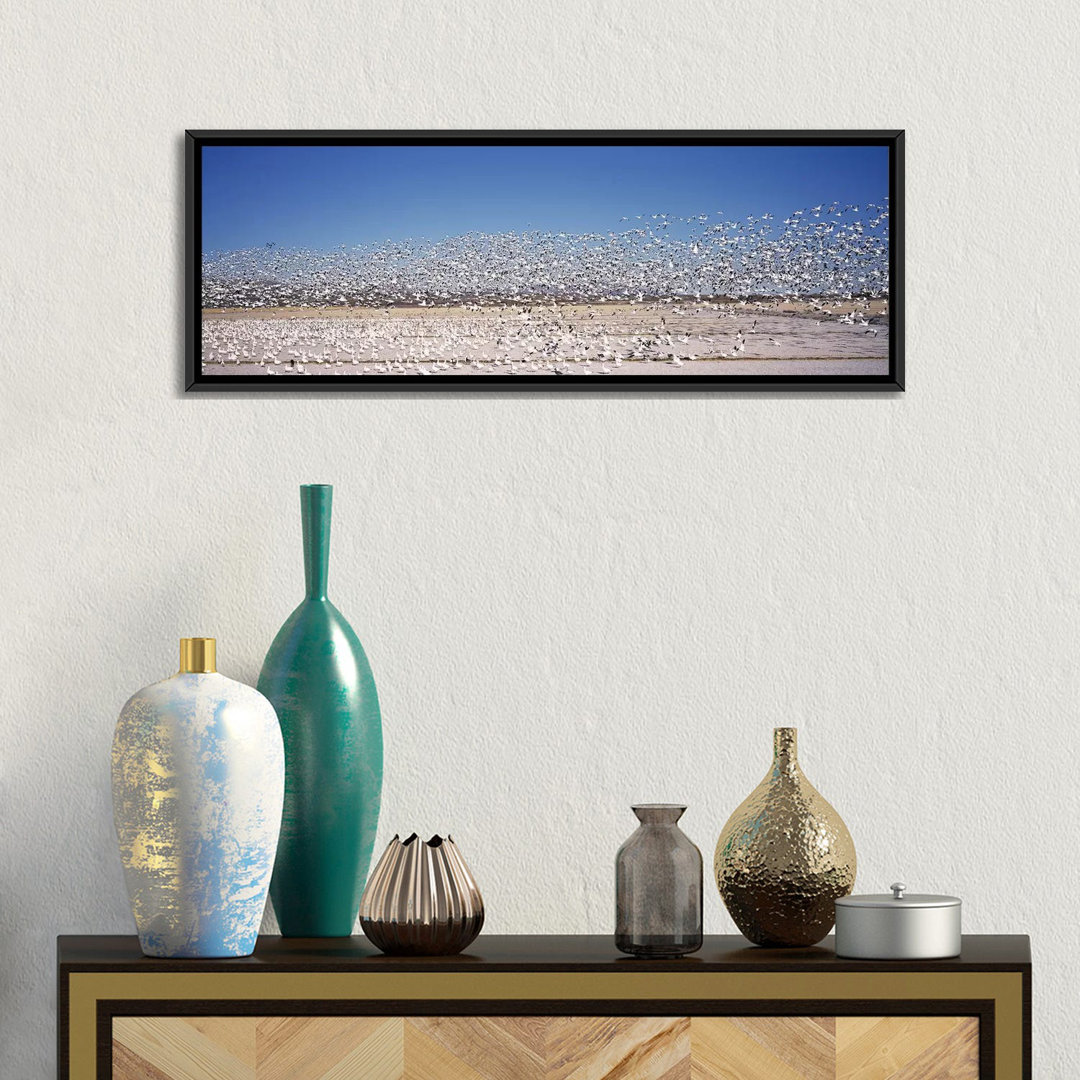 'Flock of Snow Geese Flying at Bosque del Apache National Wildlife Reserve, New Mexico' Photographic Print on Canvas East Urban Home