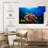 Brampt Underwater Red Sea Life-107857153