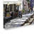 Armand 'Dappled Sunlight' Print on Canvas-21650839