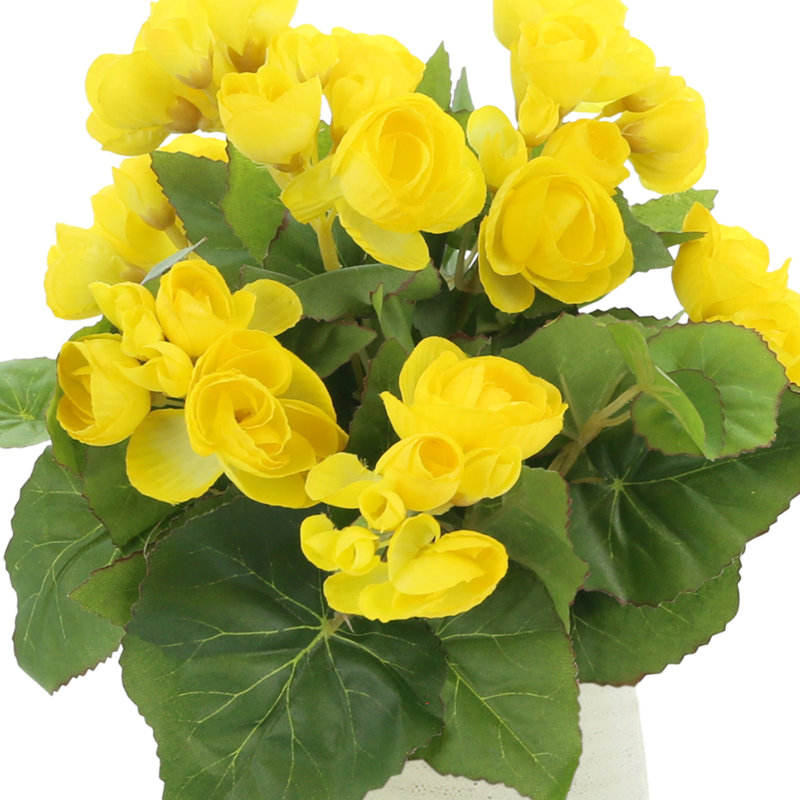 Begonia Floral Arrangement, Beige, Yellow
