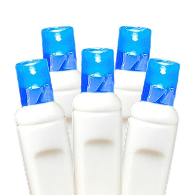 LED Net Lights