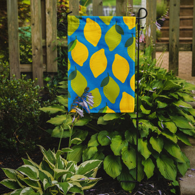 Citrons et limes sur 2 côtés polyester de 15 x 11 po drapeau de jardin