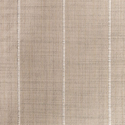 Winners Circle IV Sondheim Crypton Fabric
