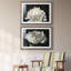 ALL AFLUTTER - ensemble de 2 reproductions-1761994147-1761994152-1778156556