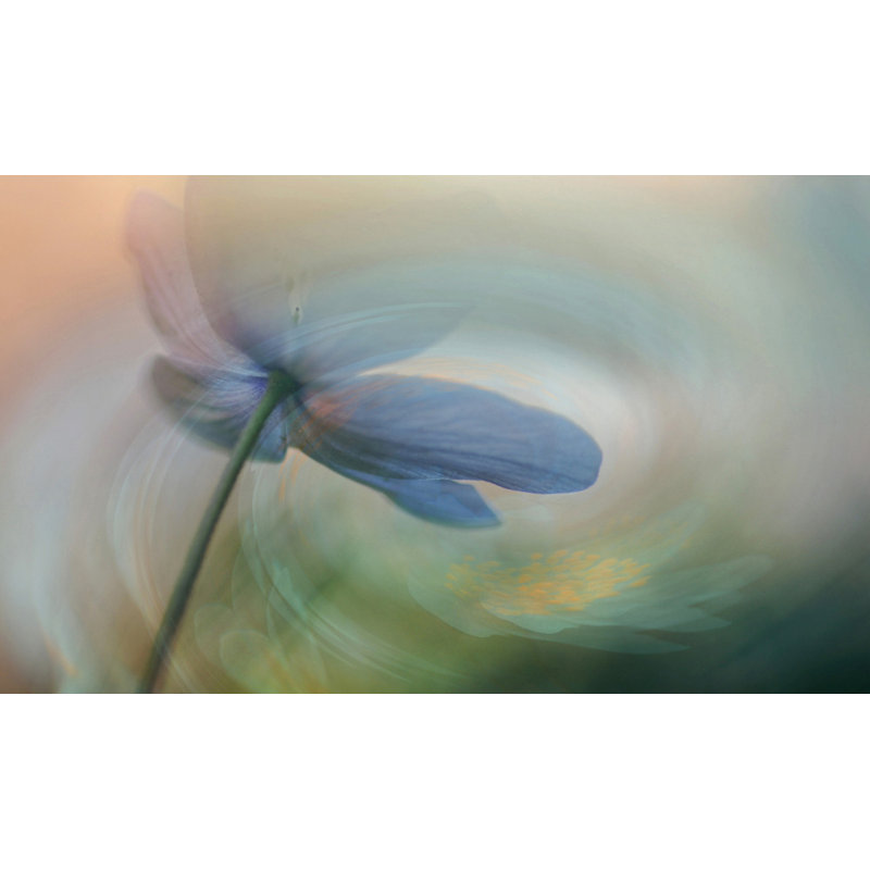 Wrapped Canvas Print, 81.28cm H x 121.92cm W
