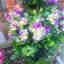 Photos des clients 1 de 1