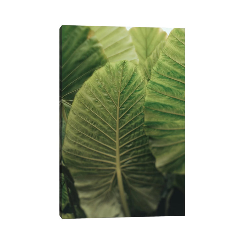 Be Present by Olivia Joy StClaire - Wrapped Canvas Print, 20.32 cm H x 30.48 cm W