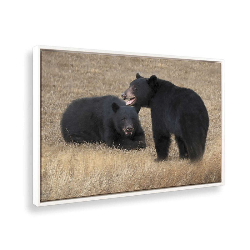 «Paire d'ours» par Lori Deiter, reproduction d'art, L 30 po x H 20 po, Blanc, Toile avec cadre