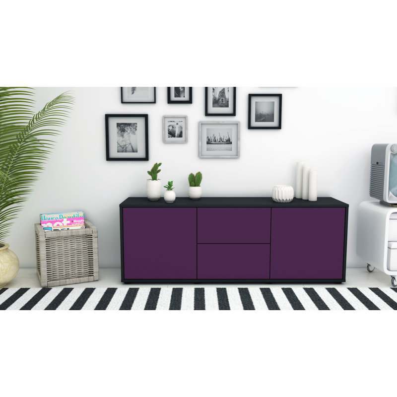 Fredrick Unfinished TV Stand for TVs up to 60, Purple / Matte Anthracite