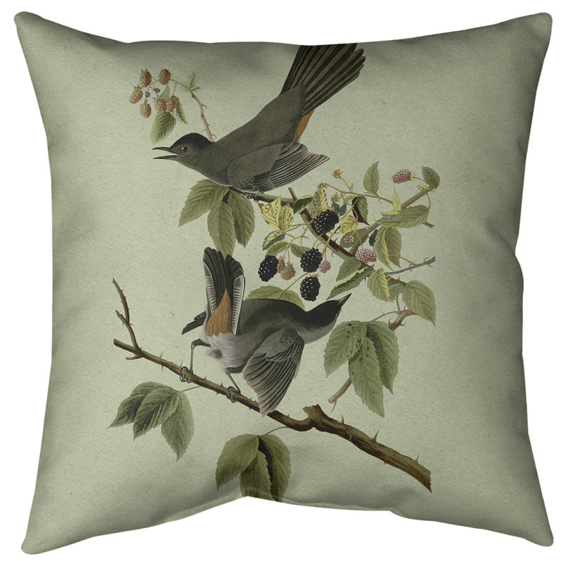 Coussin décoratif à motif d'oiseau de chat avec insert - Collection John James Audubon, double face et lavable, 16 po x 1 po