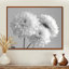 Monochromes blanc noir maman botanique beauté II - décoration murale mamans-1752048219-1752048217