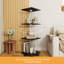 Display Cabinet-707977396