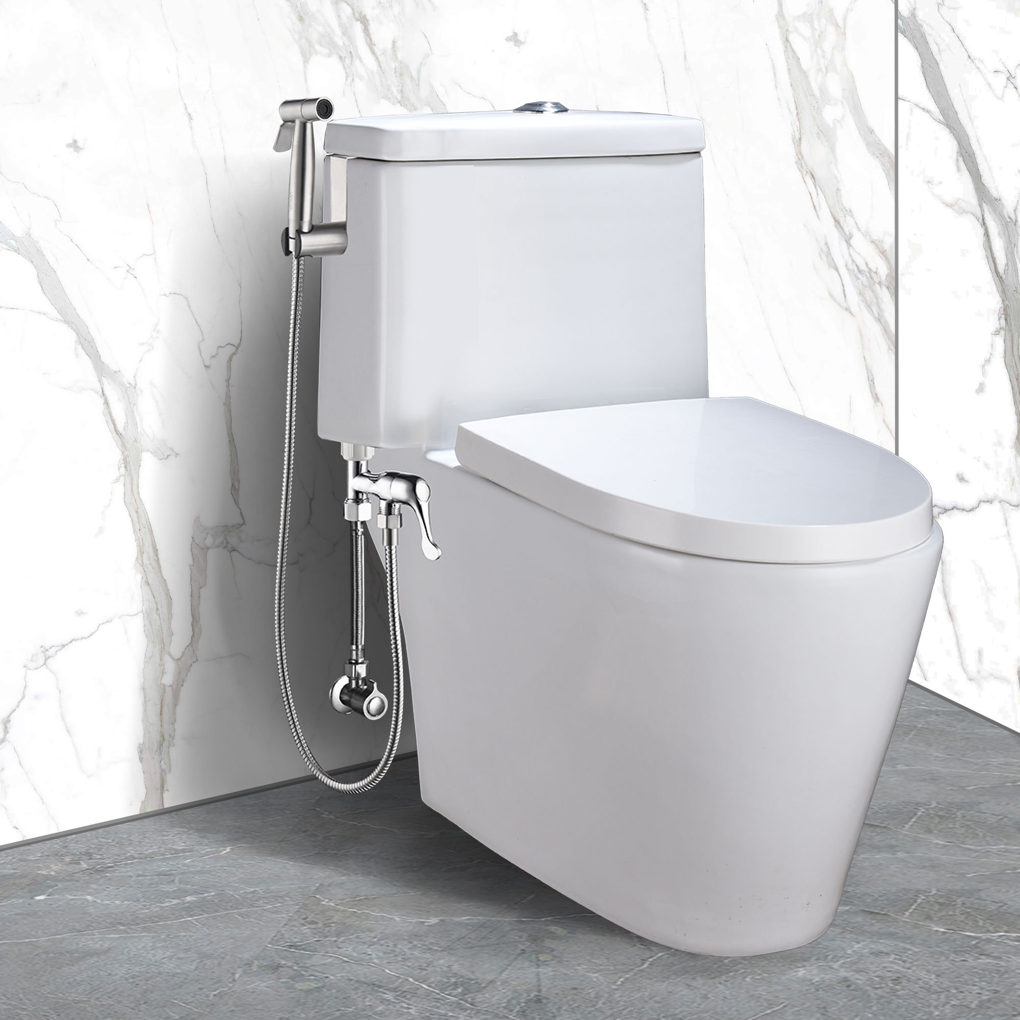 Design House Stainless Steel Toilet Mounted Handheld Bidet Sprayer