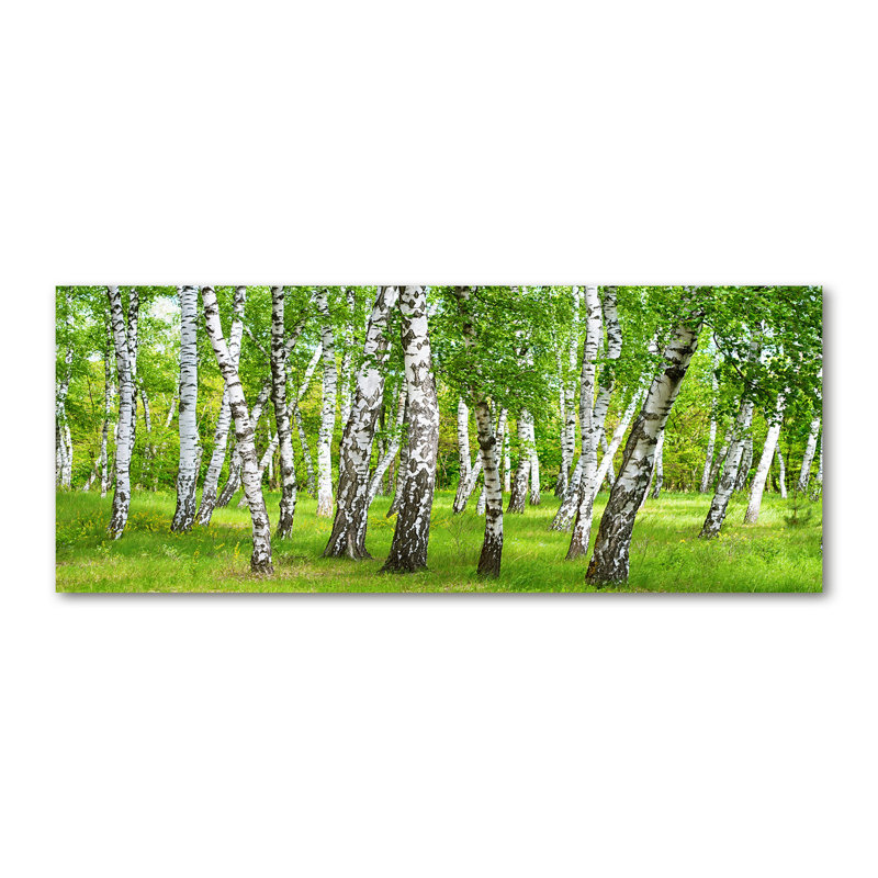 Birch Forest - Print, Unframed Glass, 70cm H x 100cm W x 4cm D