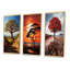 «Baobab Tree Serenade», 3 pièces sur toile-622488239-622488230