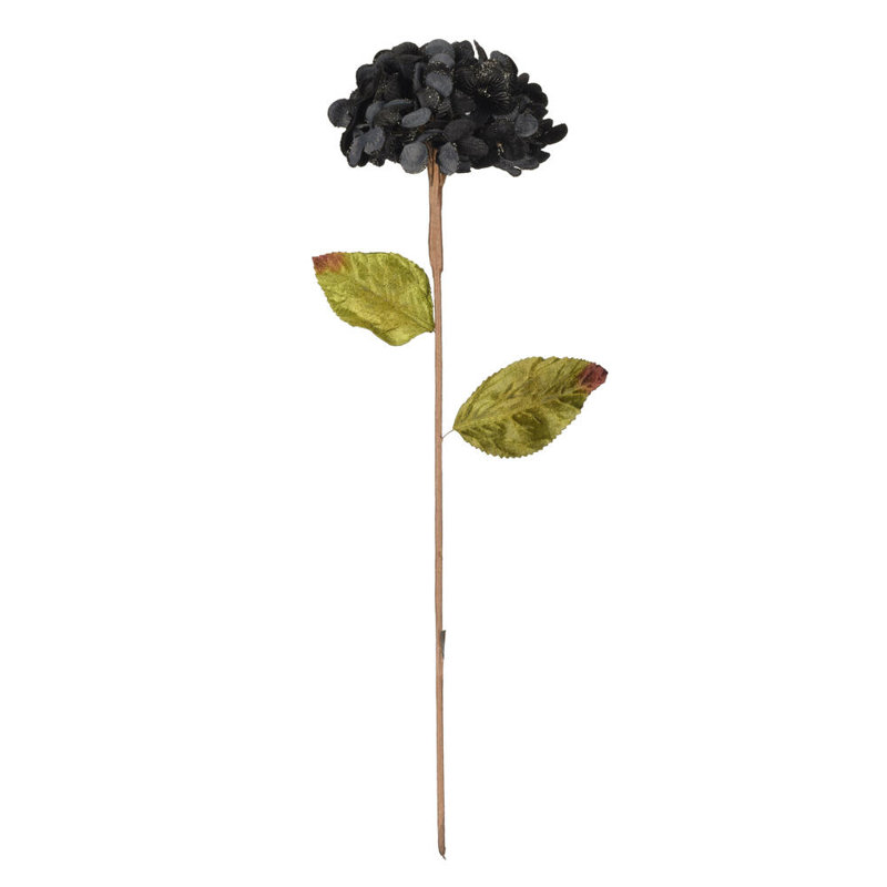 Tige d'hortensia Vickerman, Noir