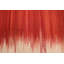 Kilim rouge Wilmette 6 pi 6 po x 9 pi 6 po