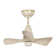Edgebrooke 28'' Ceiling Fan with LED Lights