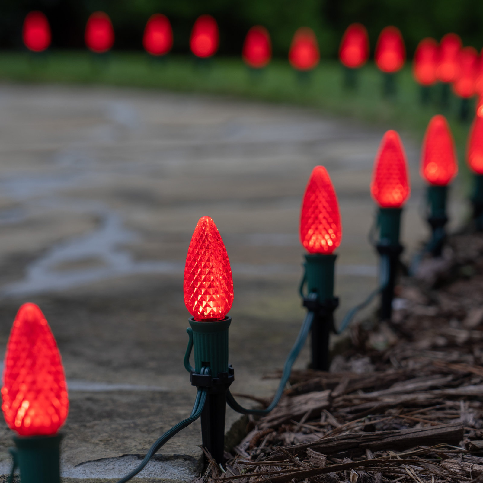 C9 OptiCore LED Shatterproof Luminary & Pathway Lights, 100 feet, Red