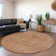  Maliana Area Rug
