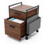 43.5cm Wide 2 -Drawer Mobile File Cabinet-77446117