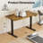 Putnam Height Adjustable Standing Desks-194064654-194064657