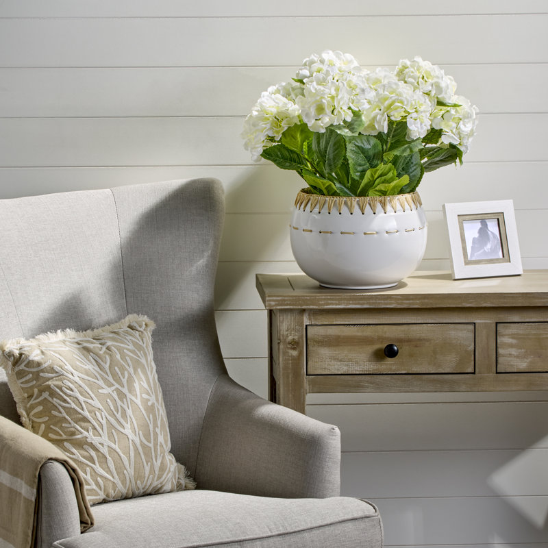 Hortensia de jardin 22 po, Hortensia de jardin blanc en pot
