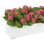 Arrangement Kallas Kalanchoe en pot de fibres-504900990-504900865