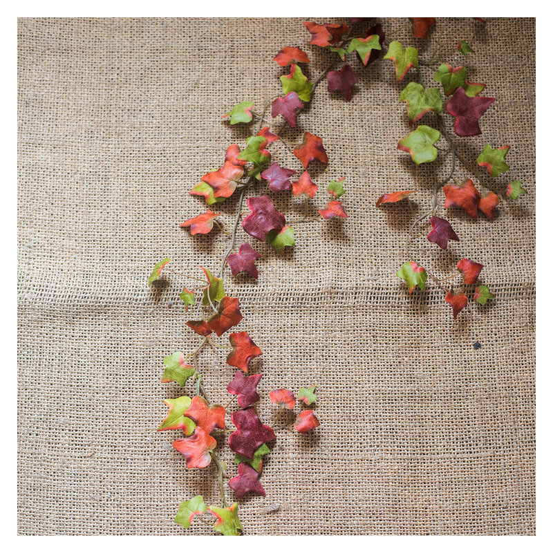 Branche de ivy rustique automne, 5 tiges