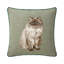 Aime Decorative Pillow-2134771589