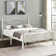 Auxter 38" Metal Platform Bed Frame with Parisian Style Headboard and Footboard, Heavy-duty Slats Support, Under Bed Storage, No Box Spring Needed