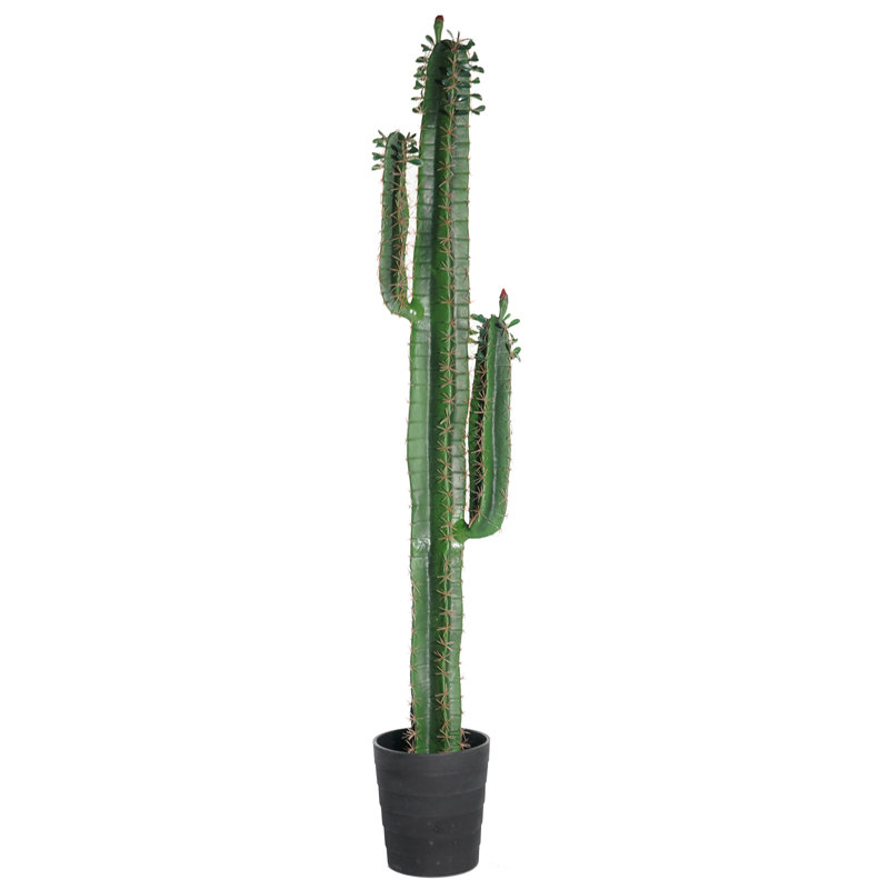 60'' Faux Cactus Plant in Pot