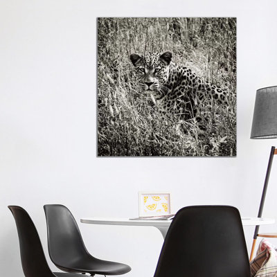 B&W Elusive Leopard 1 Piece Wrapped Canvas Wall Art