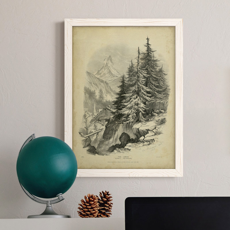 The Larch - Reproduction de photo sur toile, Cadre blanc, H 24 po x l 20 po