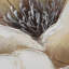 « full fleuri i »-impression sur toile tendue paiting