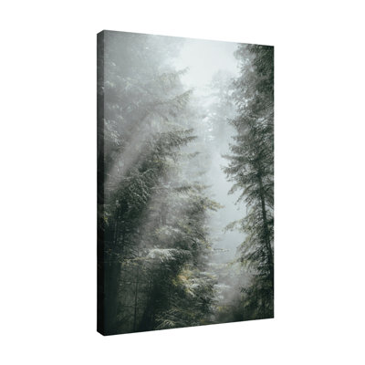 «Whispers in the Mist», reproduction d'art sur toile tendue