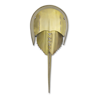 Horseshoe Crab Gold (stainless steeel)