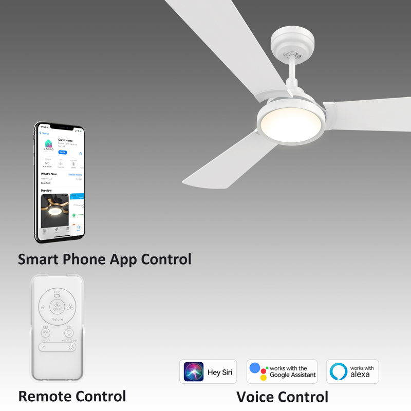  52'' Smart DC Motor Ceiling Fan with LED Lights and Remote Control