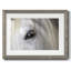Balearic Island Horse, impression sur papier-835999624-835999625