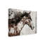 « galaxy cheval i », peinture sur toile tendue-1834872508